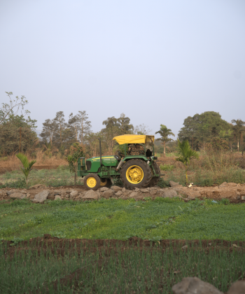 farm