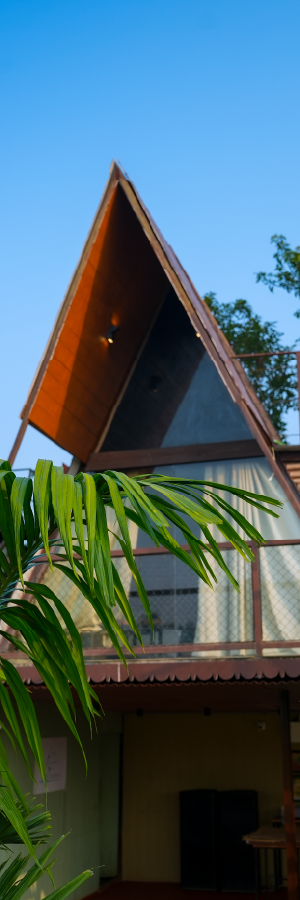 Vertical Image Slider_300x900px-01