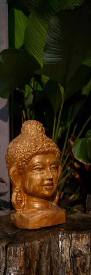 Vertical Image Slider_300x900px-04